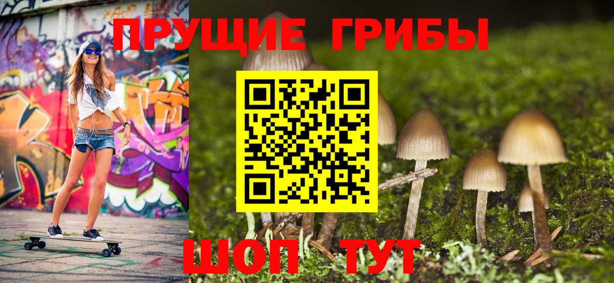 Псилоцибиновые грибы Psilocybine cubensis Ступино